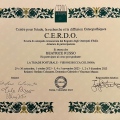 Ingrandire l'immagine: certificate 5