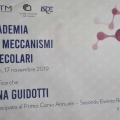 Ingrandire l'immagine: certificate 13