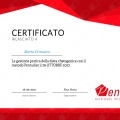 Ingrandire l'immagine: certificate 3