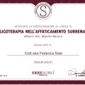 Ingrandire l'immagine: certificate 12
