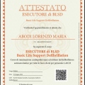 Ingrandire l'immagine: certificate 2
