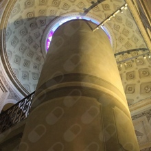 Istituto Di Scienze Dermatologiche E Rigenerative