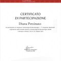 Ingrandire l'immagine: certificate 4