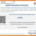 Ingrandire l'immagine: certificate 4