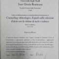 Ingrandire l'immagine: certificate 9