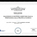 Ingrandire l'immagine: certificate 129