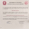 Ingrandire l'immagine: certificate 1