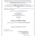 Ingrandire l'immagine: certificate 5