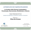 Ingrandire l'immagine: certificate 8