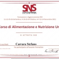 Ingrandire l'immagine: certificate 16
