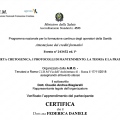 Ingrandire l'immagine: certificate 11