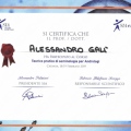 Ingrandire l'immagine: certificate 6
