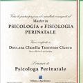Ingrandire l'immagine: certificate 2