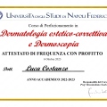 Ingrandire l'immagine: certificate 4