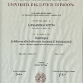Ingrandire l'immagine: certificate 1