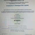 Ingrandire l'immagine: certificate 3