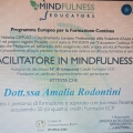 Ingrandire l'immagine: certificate 1