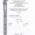 Ingrandire l'immagine: certificate 1