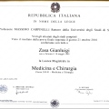 Ingrandire l'immagine: certificate 2