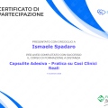 Ingrandire l'immagine: certificate 20