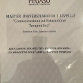 Ingrandire l'immagine: certificate 10