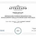Ingrandire l'immagine: certificate 8