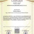 Ingrandire l'immagine: certificate 18