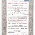 Ingrandire l'immagine: certificate 5