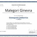 Ingrandire l'immagine: certificate 5