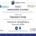 Ingrandire l'immagine: certificate 4