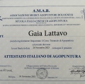 Ingrandire l'immagine: certificate 1