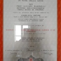 Ingrandire l'immagine: certificate 3