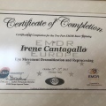 Ingrandire l'immagine: certificate 16