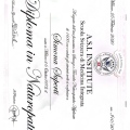 Ingrandire l'immagine: certificate 4