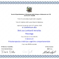 Ingrandire l'immagine: certificate 11