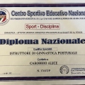 Ingrandire l'immagine: certificate 7