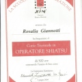 Ingrandire l'immagine: certificate 2