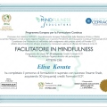 Ingrandire l'immagine: certificate 10