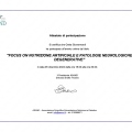 Ingrandire l'immagine: certificate 7