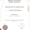 Ingrandire l'immagine: certificate 2