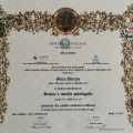 Ingrandire l'immagine: certificate 1