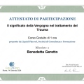 Ingrandire l'immagine: certificate 10