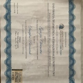 Ingrandire l'immagine: certificate 2