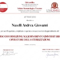 Ingrandire l'immagine: certificate 8