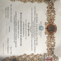 Ingrandire l'immagine: certificate 1