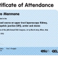 Ingrandire l'immagine: certificate 3