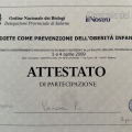 Ingrandire l'immagine: certificate 20