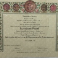 Ingrandire l'immagine: certificate 2
