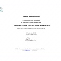 Ingrandire l'immagine: certificate 6