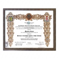 Ingrandire l'immagine: certificate 1